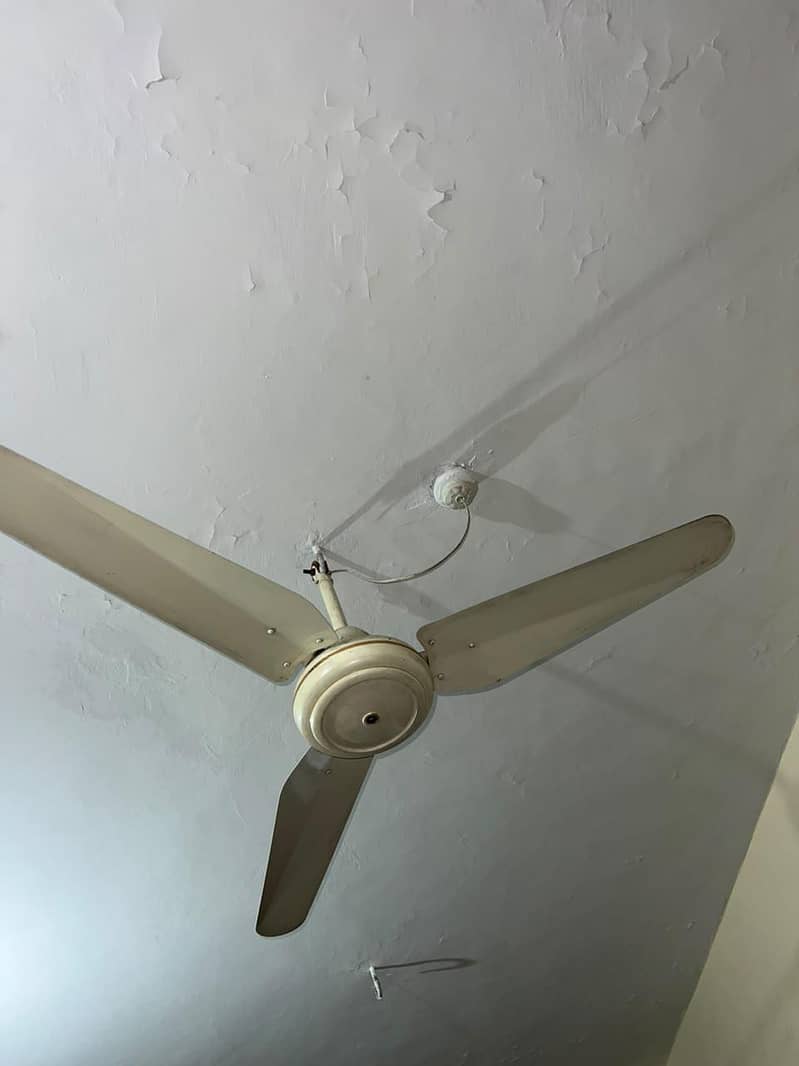 Ceiling Fan 1
