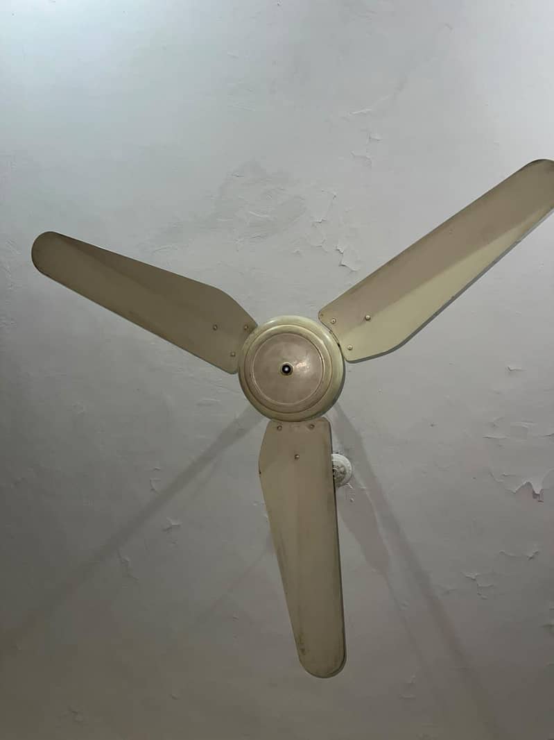Ceiling Fan 3