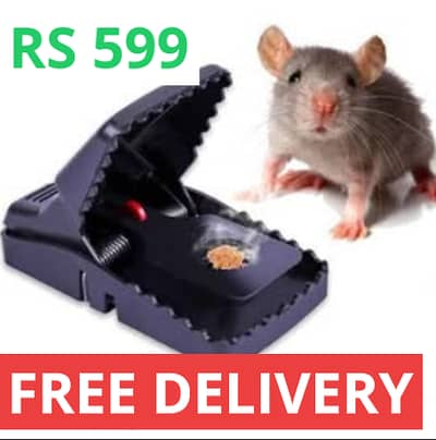 MOUSE TRAP  FREE DELIVERY GOOD QUALITY MOUSE CATCH