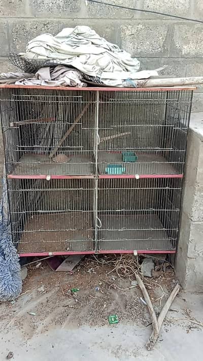 parrots cage