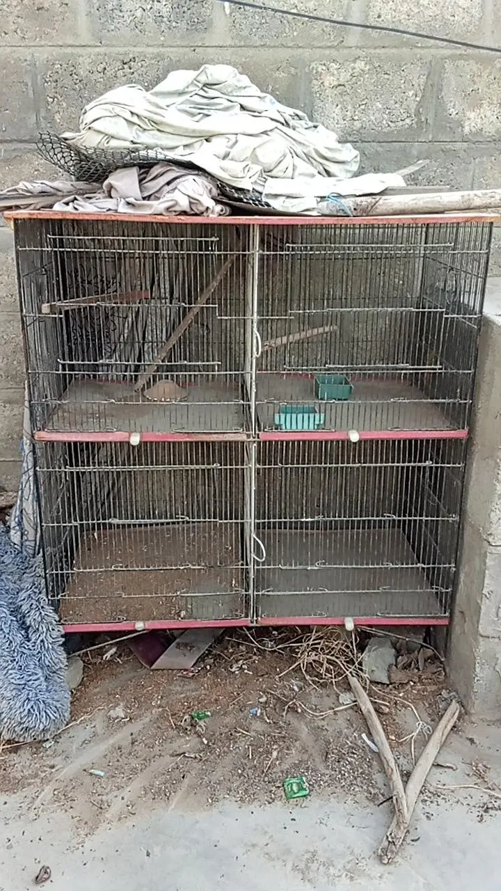 parrots cage — photo 3
