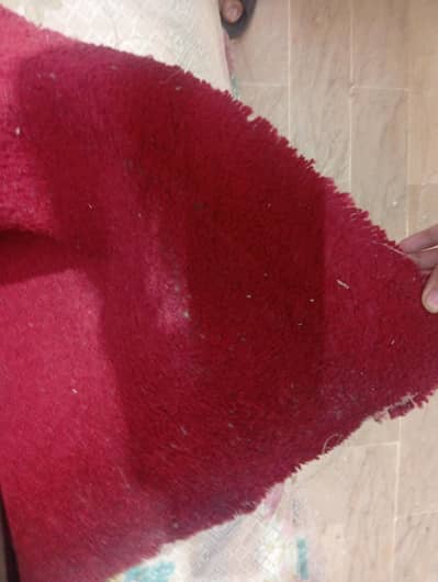 carpet sale