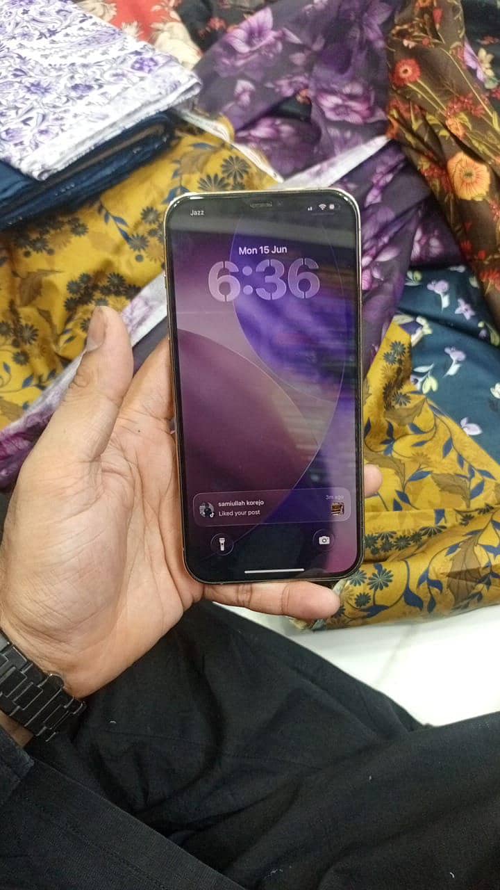 Apple iPhone 12 Pro Max 1