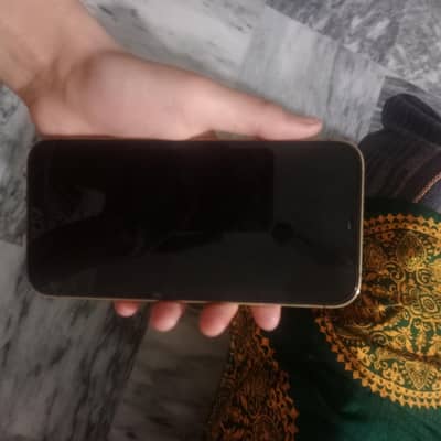 Apple iPhone 12 Pro Max