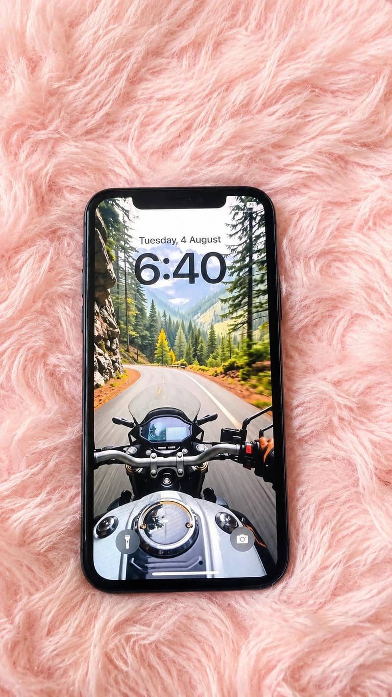 Apple iPhone X 1