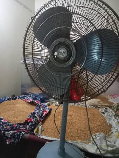 pedestal fans
