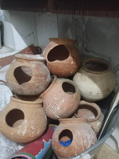 budgies House