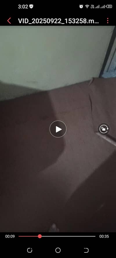 carpet