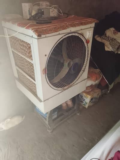 arjunt sale