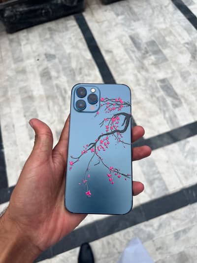 Apple iPhone 12 Pro Max