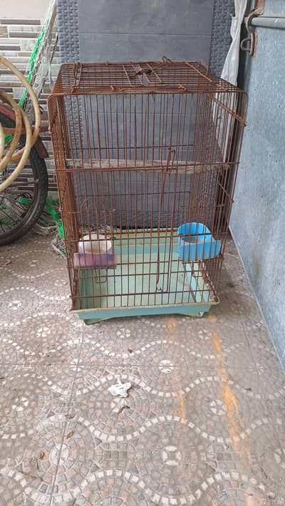 3 Birds Box
