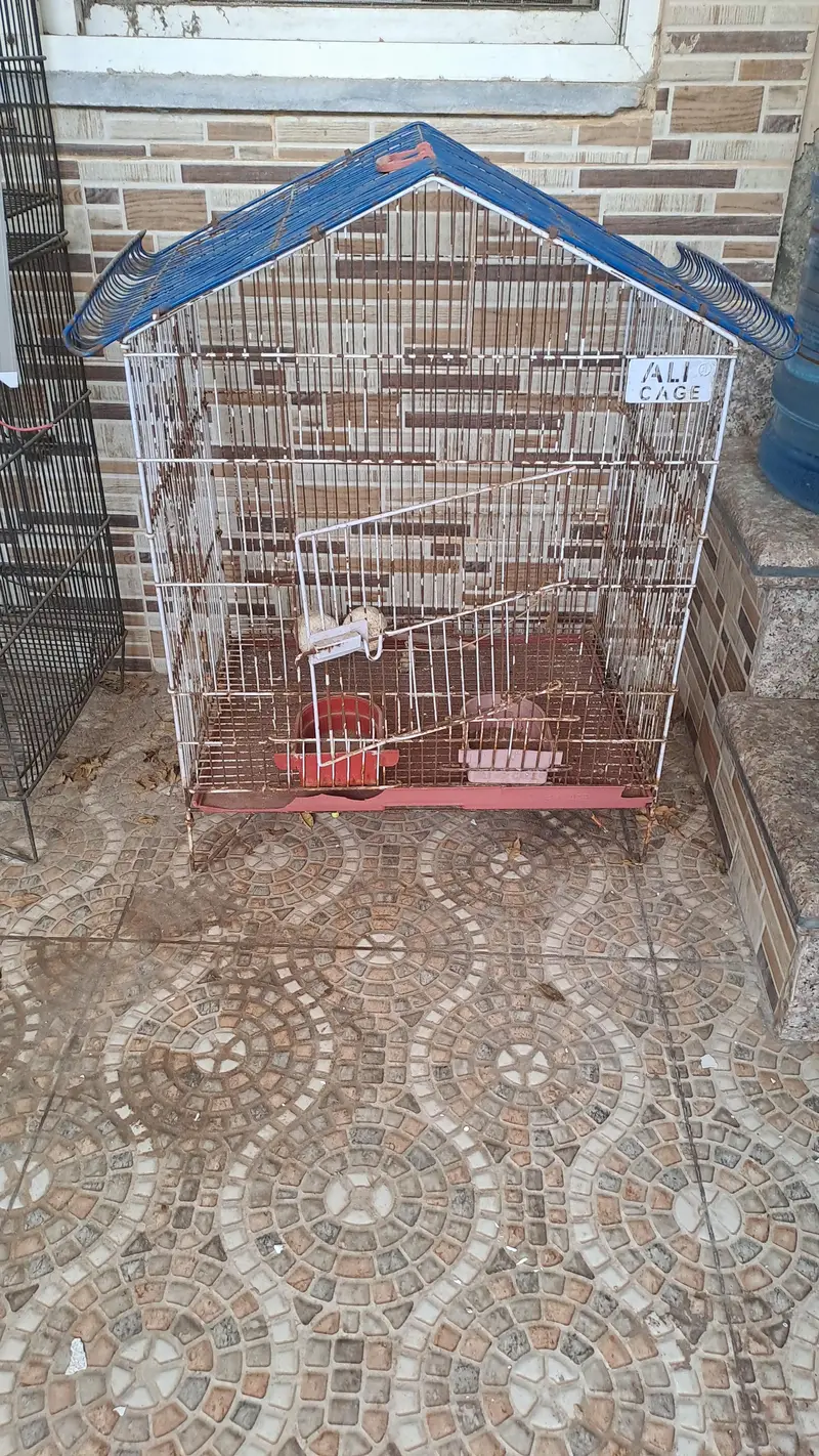 3 Birds Box — photo 2