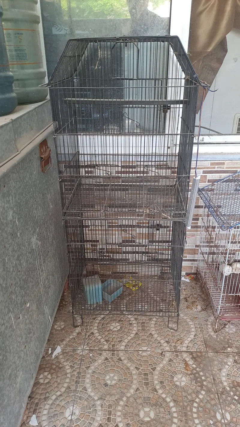 3 Birds Box — photo 3