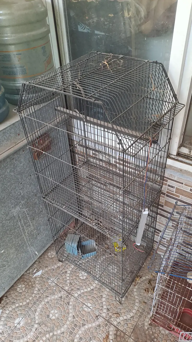 3 Birds Box — photo 4
