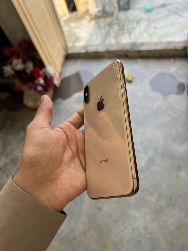 Apple iPhone XS 0