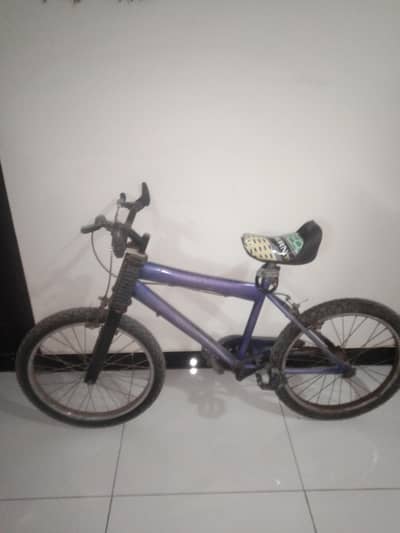 Blue cycle
