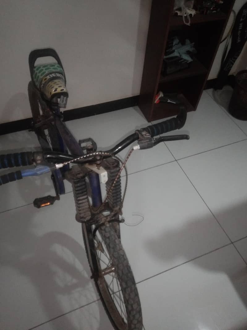 Blue cycle 1