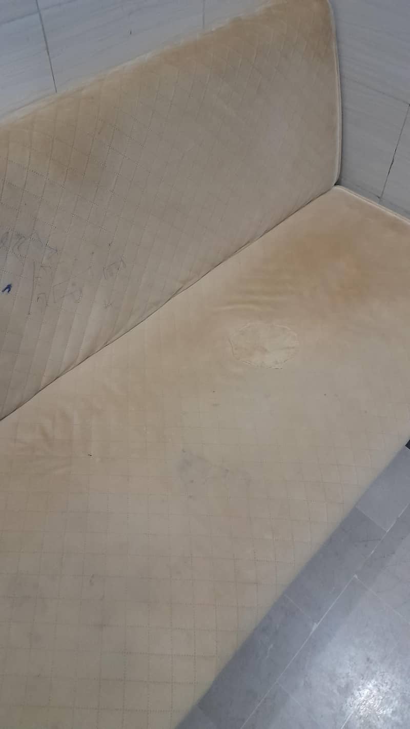 Sofa Cum Bed 1