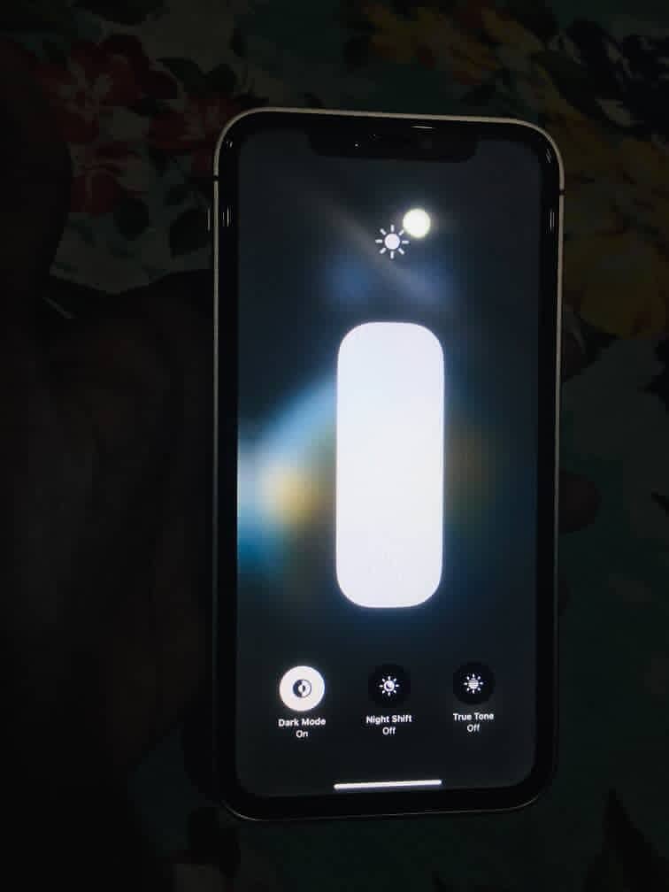 Apple iPhone 11 1