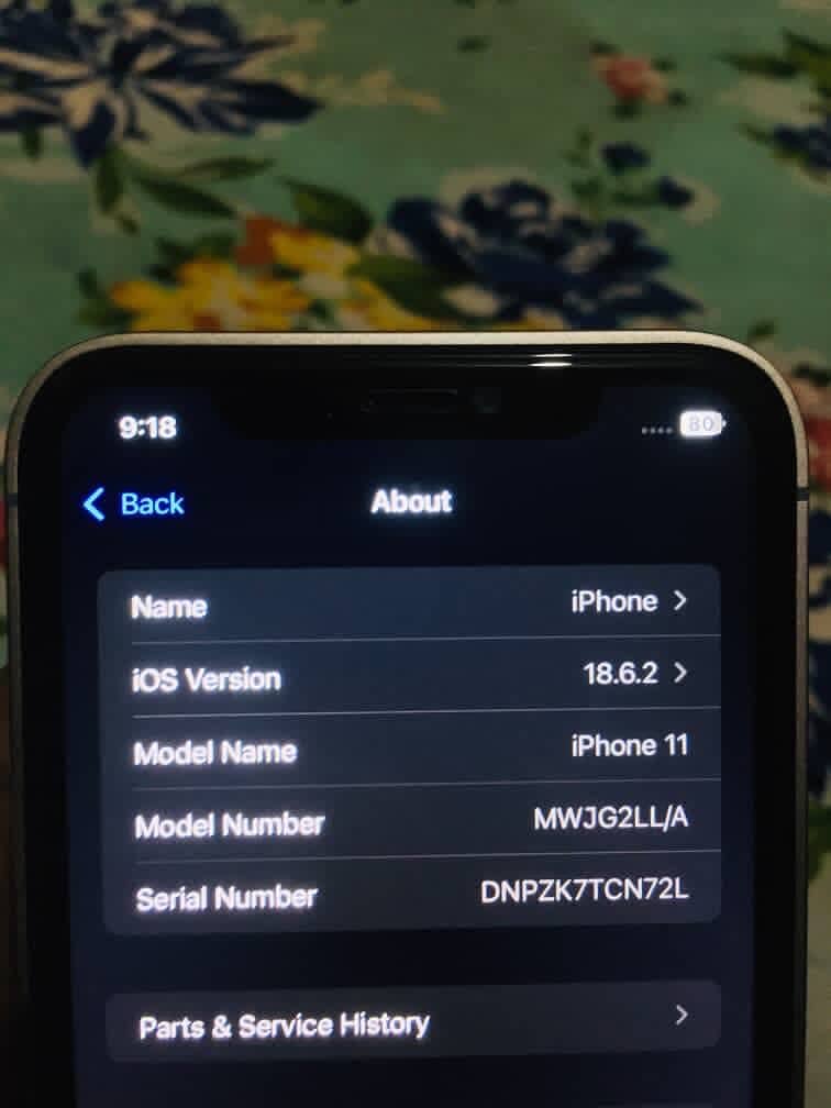 Apple iPhone 11 2