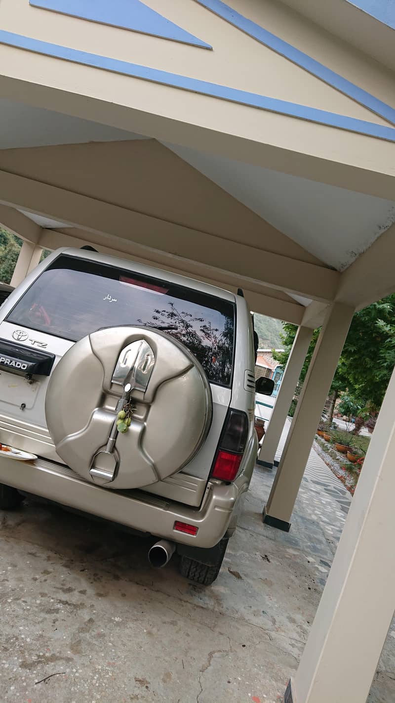 Prado 1996 5