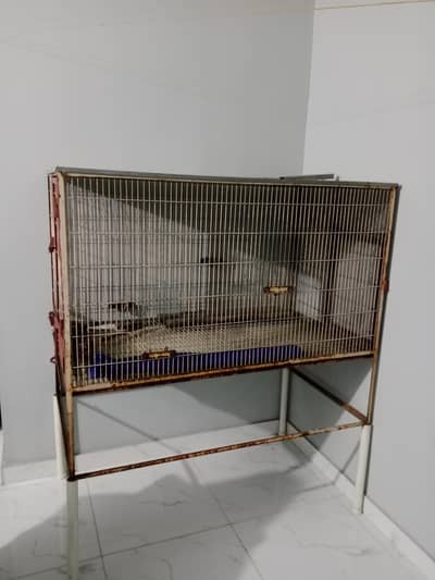 Giant Parrots Cage