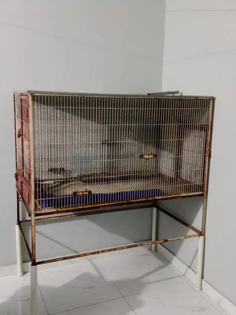 Giant Parrots Cage — photo 2