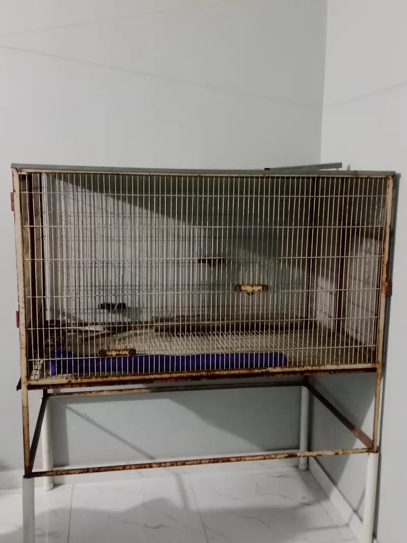 Giant Parrots Cage — photo 3