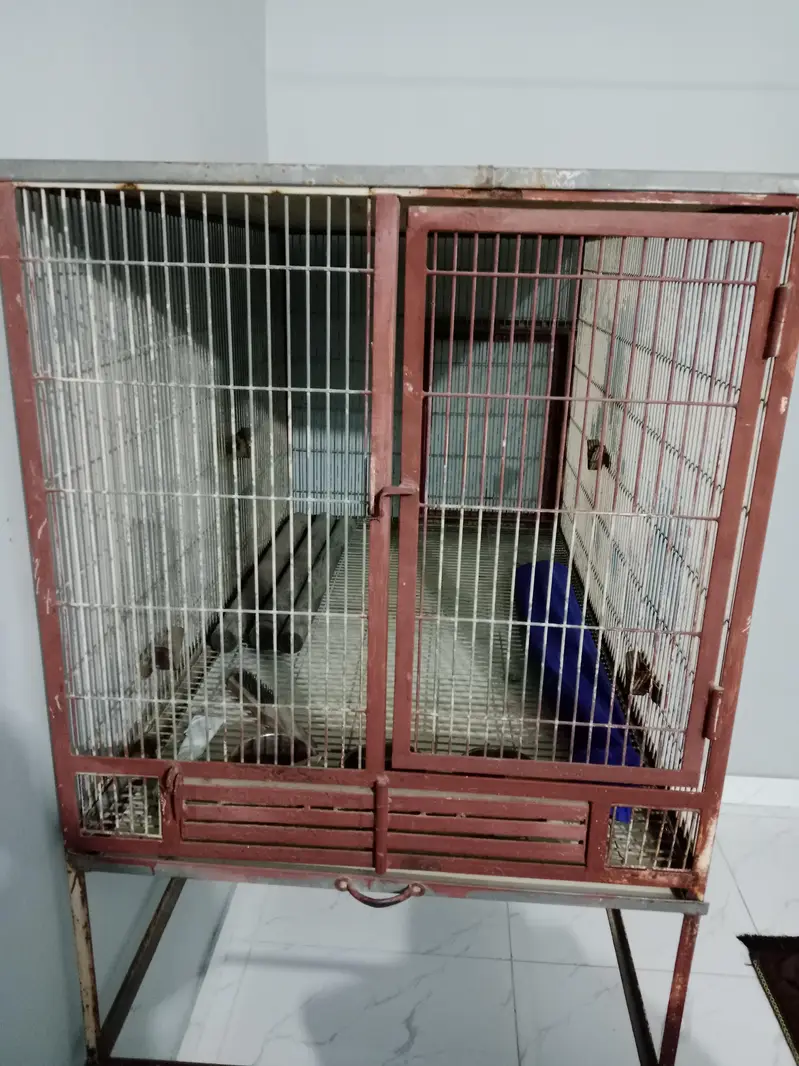 Giant Parrots Cage — photo 4