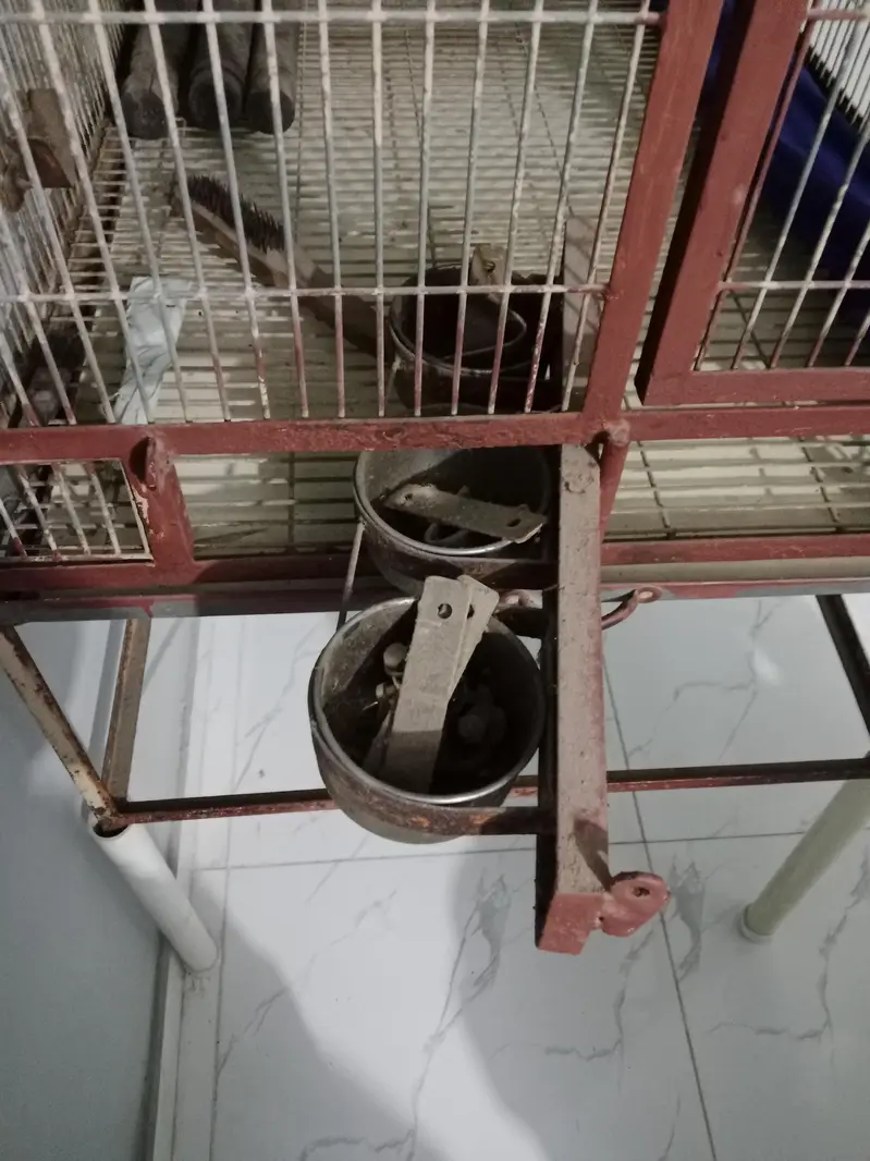 Giant Parrots Cage — photo 5