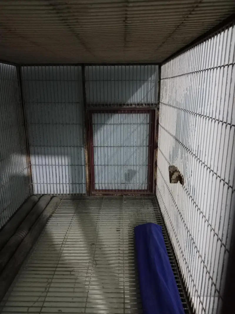 Giant Parrots Cage — photo 7
