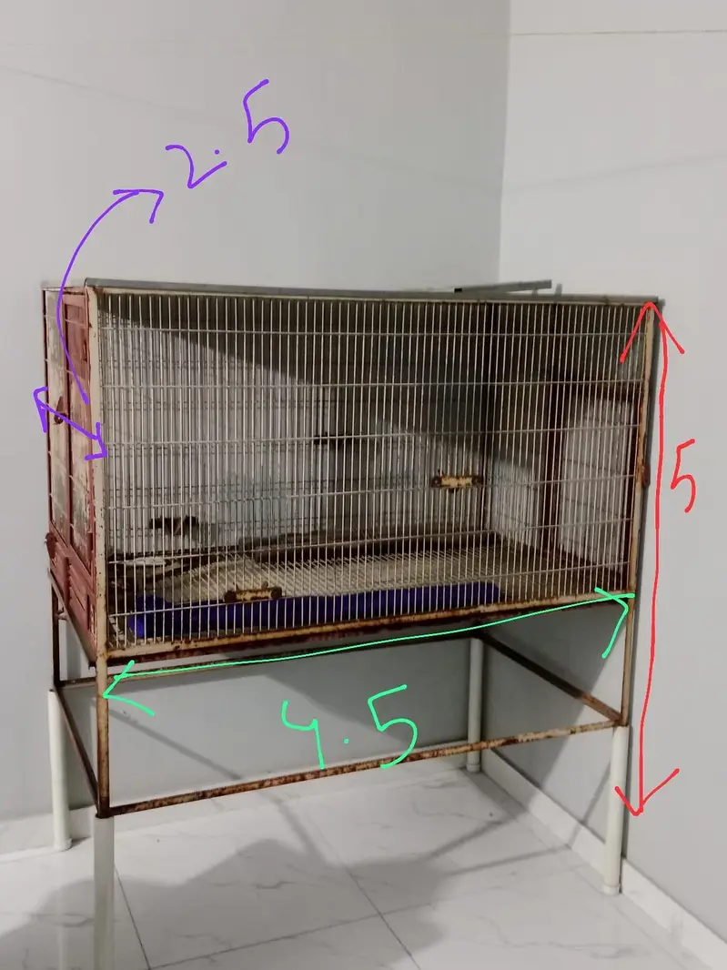 Giant Parrots Cage — photo 8