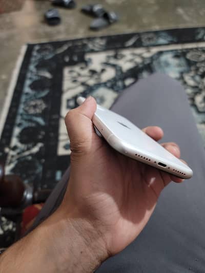 iphone11