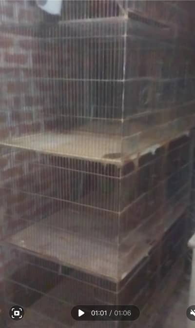 Kabootron Ka Mazboot Pinjra For Sale – 7 Foot Height