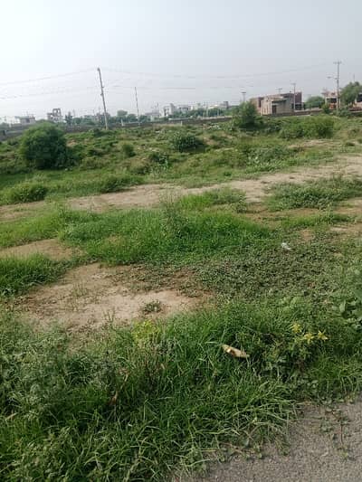 Lda avenue 1.1 kanal plot sale 40 fait road Luxury chip location near park Musjad markaat gas electric water carpat road continues stat