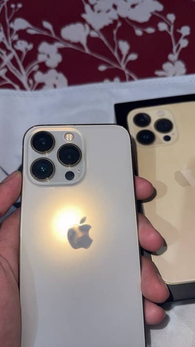 Apple iPhone 13 Pro