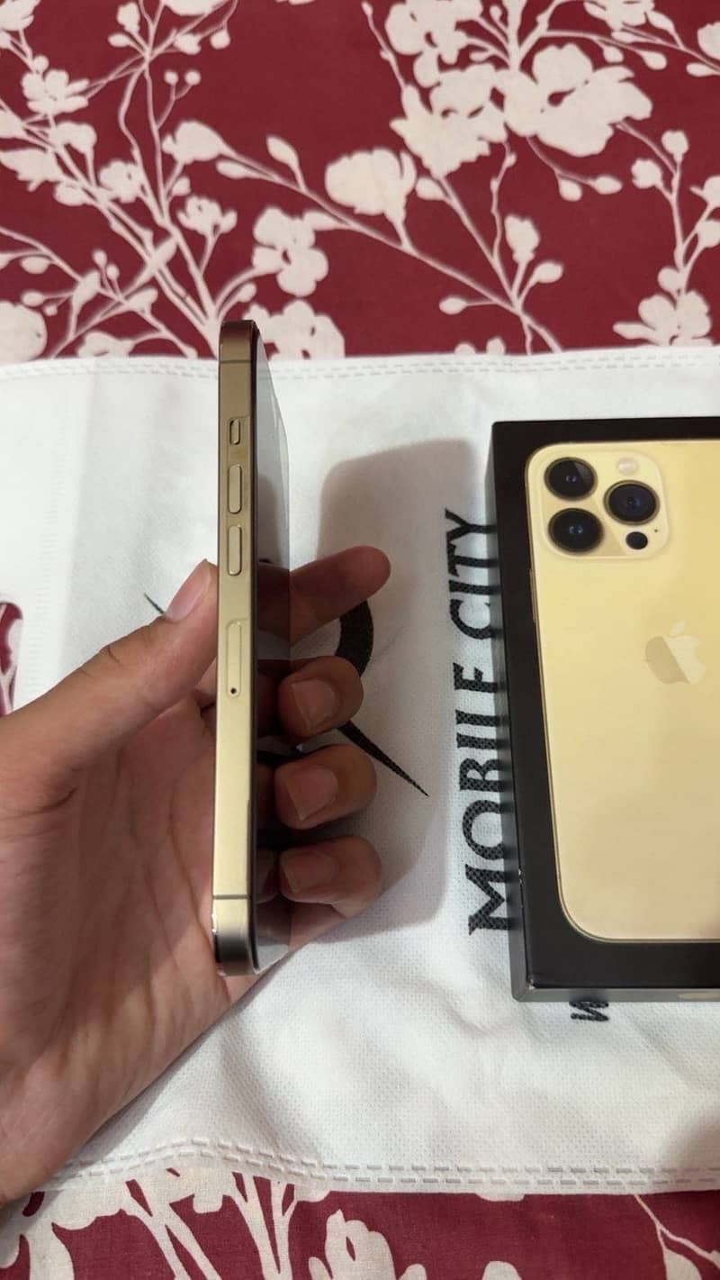 Apple iPhone 13 Pro 1