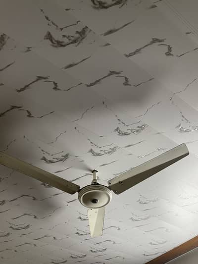 Royal ceiling Fan