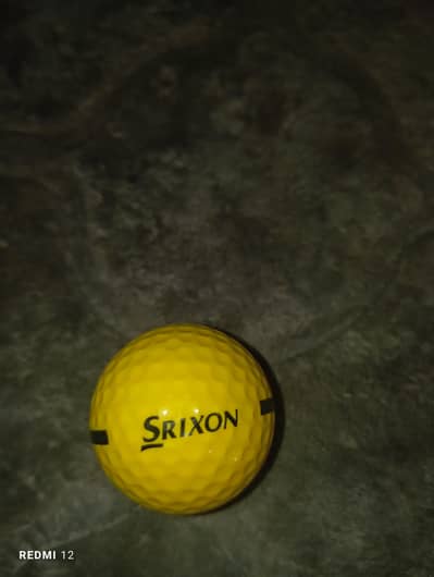 official Training Golf ball