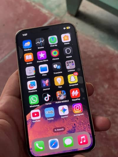 Apple iPhone 12 Pro