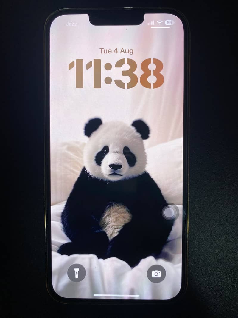 Apple iPhone 13 Pro 3