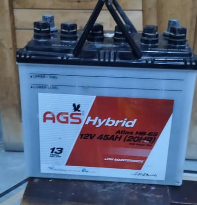 AGS Hybrid 13 plates per cell
