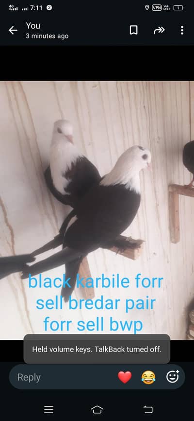 2 pair forr sell hai all okay 100 prsent bredar. 0.30. 2.7. 8.4. 8.9. 6.2