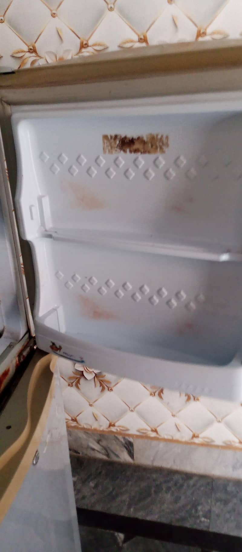 refrigerator 1