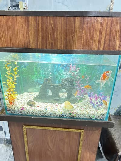 7 piece fishes with aquarium