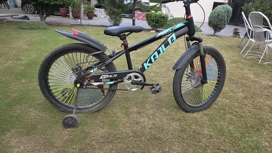 Brand & Model: Kajla 790 GTR Mountain Bike Style