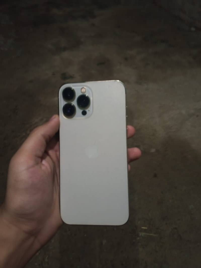 Apple iPhone 13 Pro Max 1
