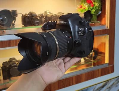dslr Canon 6d mark ii (Tamron 28-75mm f2.8)