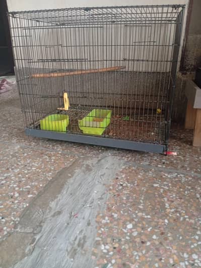 cage.
