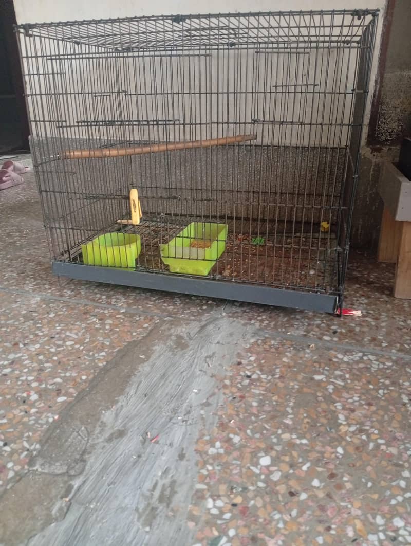 cage. 0